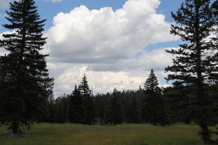 Yes this is really Arizona