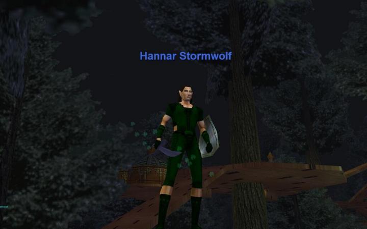 A view from atop Kelethin, epic in hand