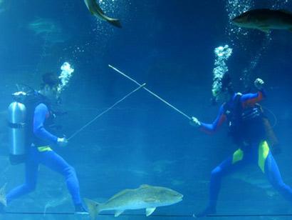 Possible underwater combat in Pantheon