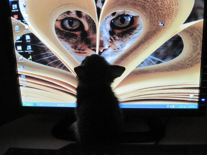 Minnie Finding Religion