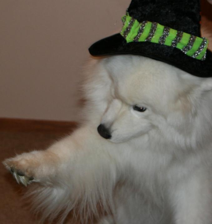 Rio, the Spellcaster!