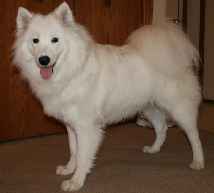 Casper the Majestic!