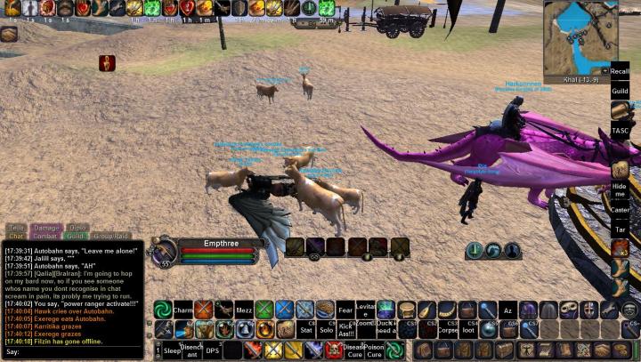 Horse playing with a GM