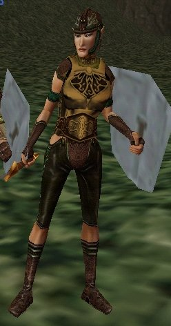 Brown Chitin Protector