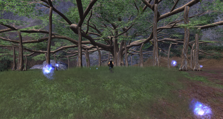 Leath Nurae Racial starting zone.